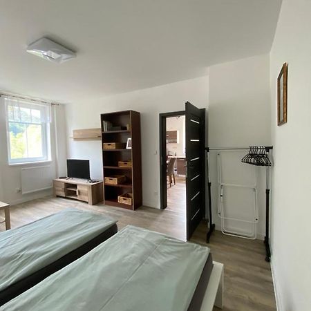 Apartmany U Viaduktu 46 Ústí nad Labem Exterior foto