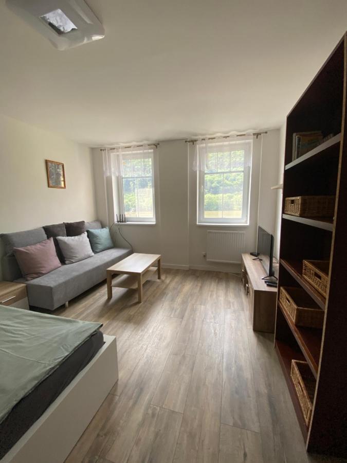 Apartmany U Viaduktu 46 Ústí nad Labem Exterior foto